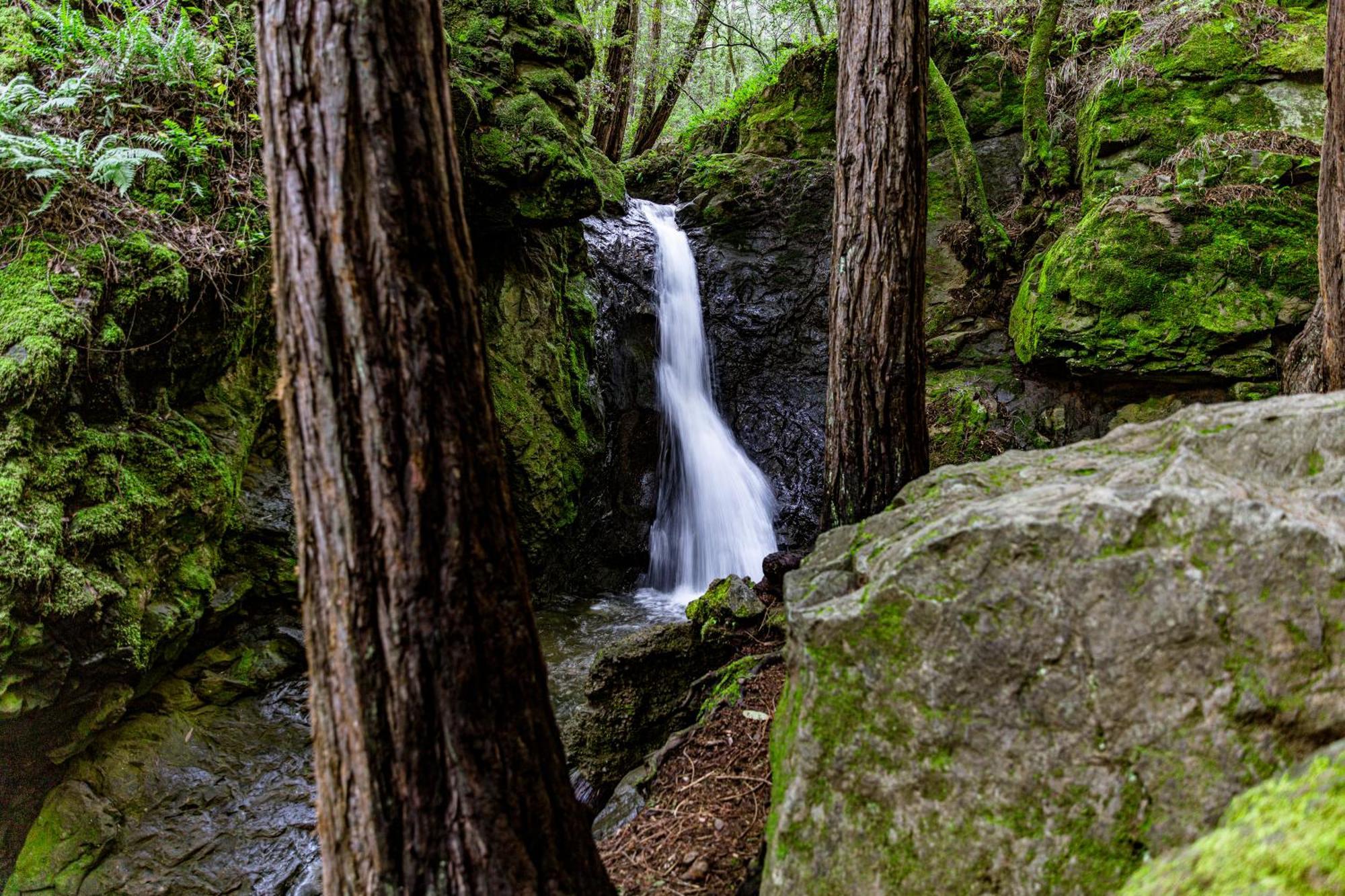 Enchanted Waterfall Sanctuary Mill Valley Dış mekan fotoğraf