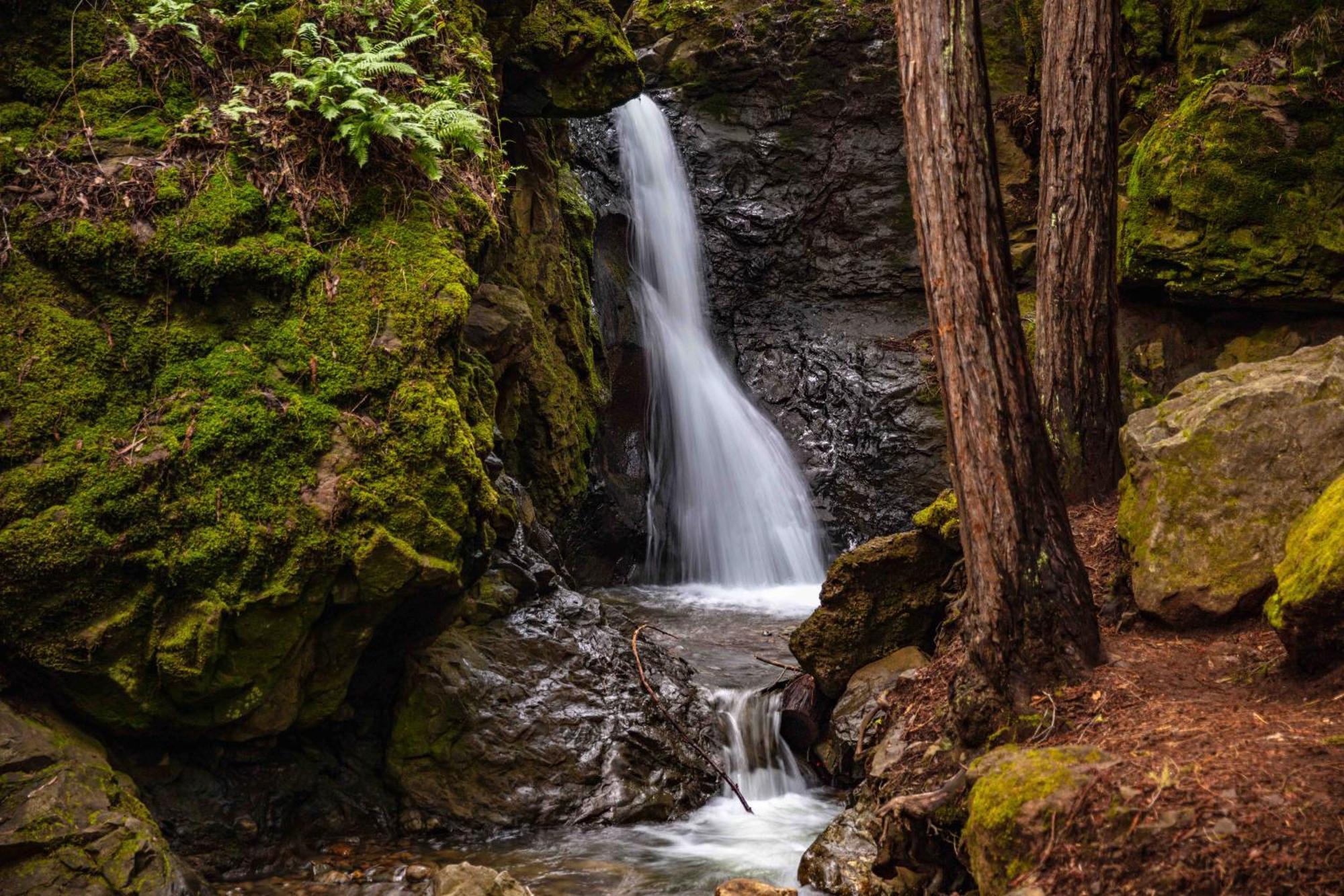 Enchanted Waterfall Sanctuary Mill Valley Dış mekan fotoğraf